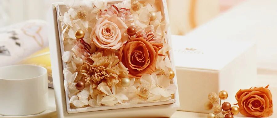 不负春光，樱你而来丨善国贾苑与你相约浪漫樱花季(图12)