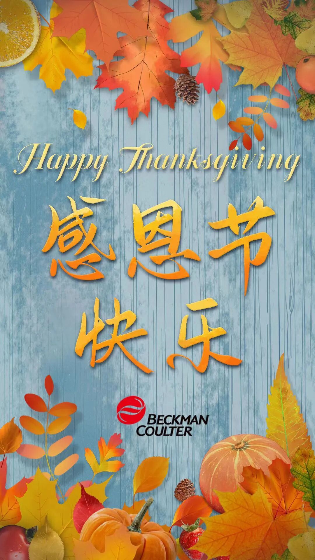 贝克曼库尔特临床诊断祝您感恩节快乐happythanksgiving