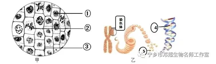 苹果手机百度无图模式_模式图_代理模式 图