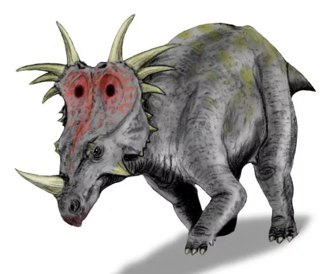 世上的食草恐龙,除了肉罐头,就是三角龙