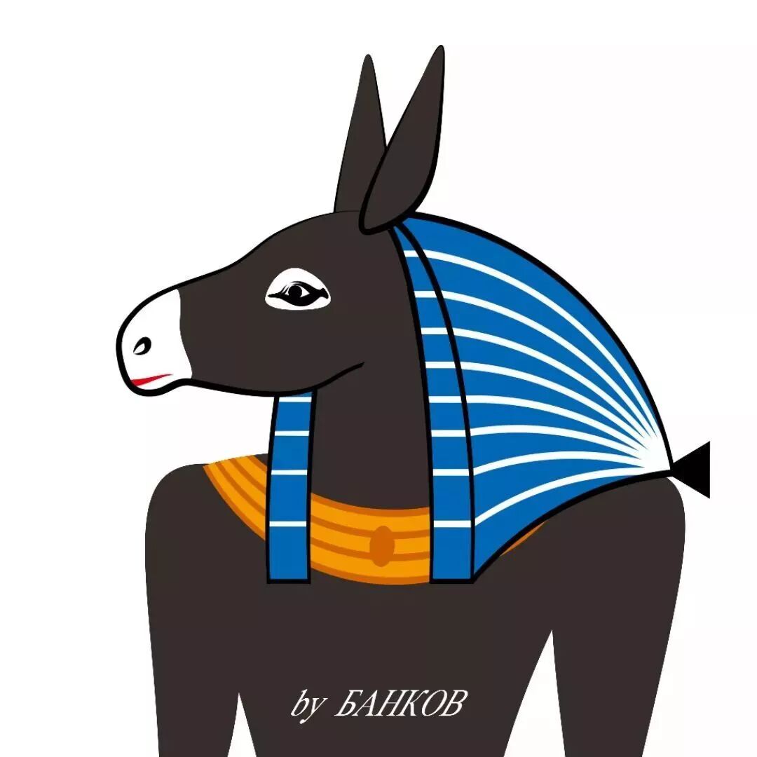 真是不明白驴怎么这么有梗啊