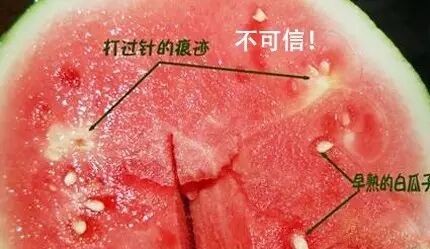 扮演吃瓜群众的这位同学你知道西瓜的祖先是白瓤的吗