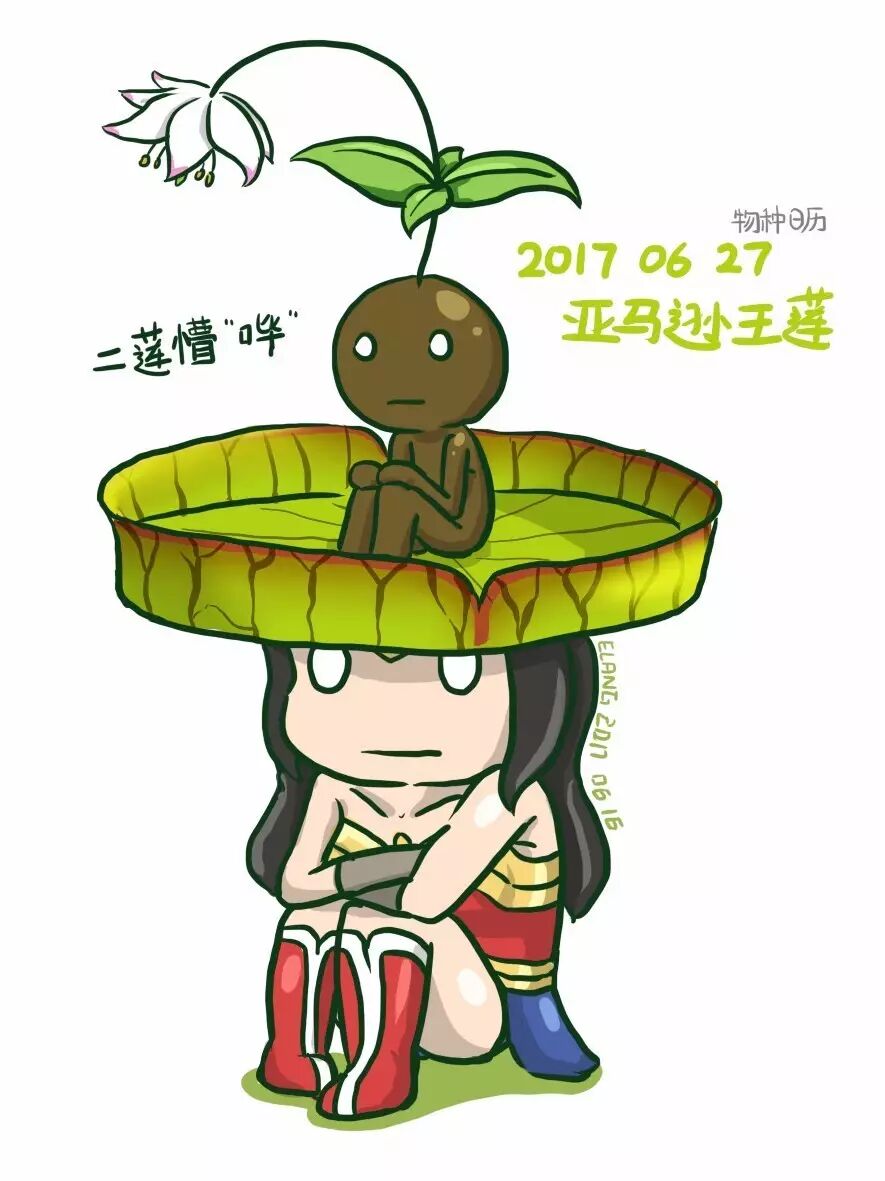 一片王莲的叶子能托起几个人