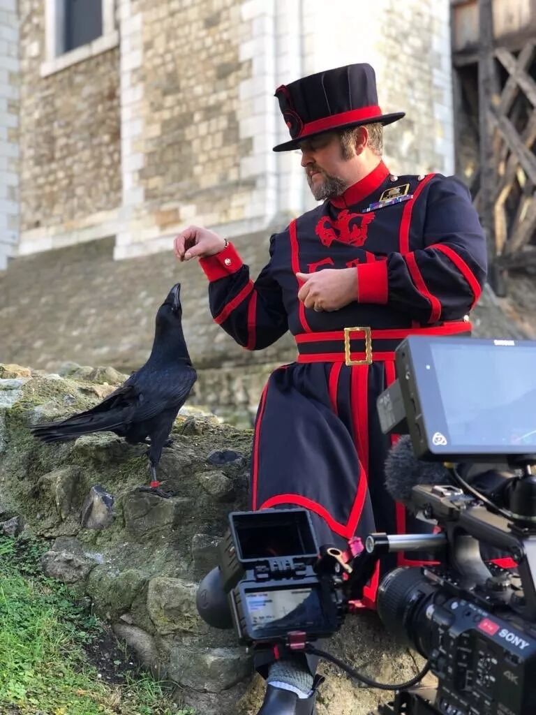 社会你鸦哥骑鹰抢劫无恶不作