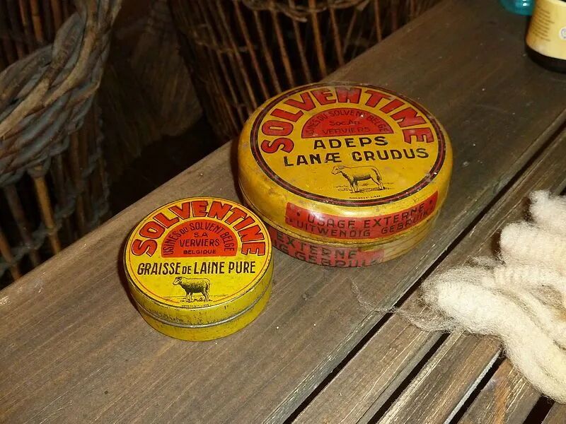 哈多利系博美犬价格_多利_多利羊