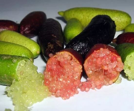 生蚝有屎吗_狗狗拉黑色的很稀的屎像墨汁一样_生蚝里面黑色的像屎一样的能吃吗