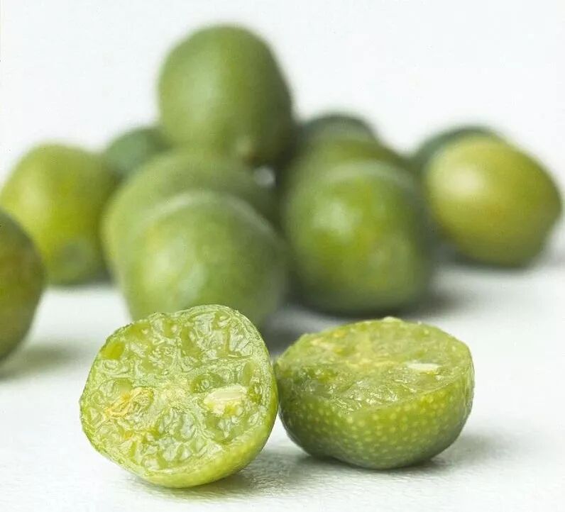 狗狗拉黑色的很稀的屎像墨汁一样_生蚝里面黑色的像屎一样的能吃吗_生蚝有屎吗