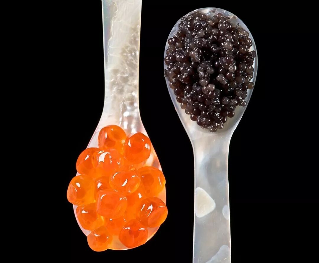 生蚝有屎吗_狗狗拉黑色的很稀的屎像墨汁一样_生蚝里面黑色的像屎一样的能吃吗