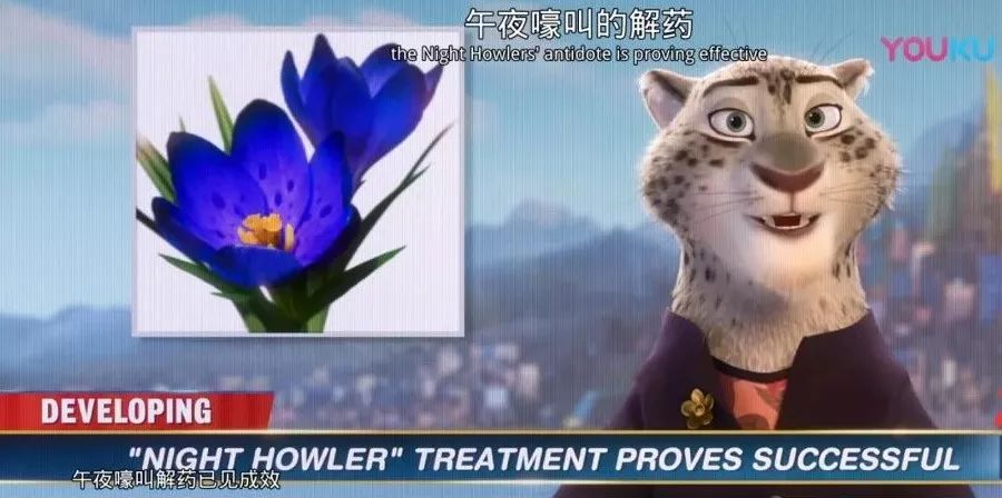 创作人员的解释,属名来自midnight(午夜)和拉丁语campum(区域)的合并