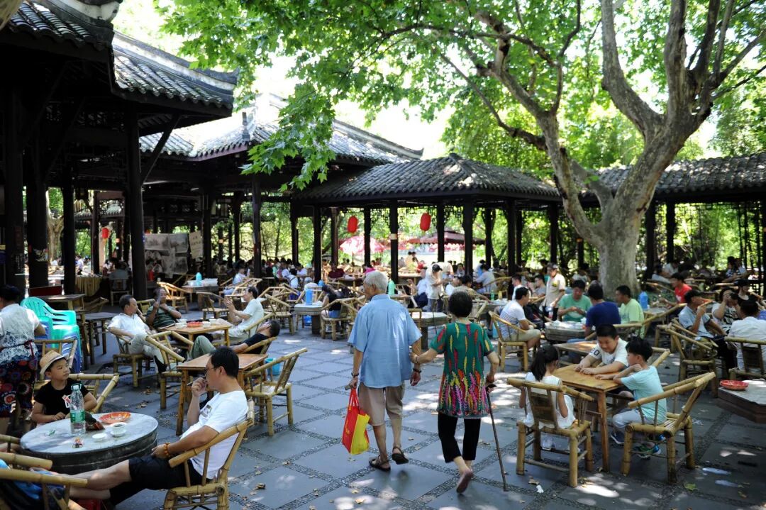 这花能当盆景也能长到房子那么大