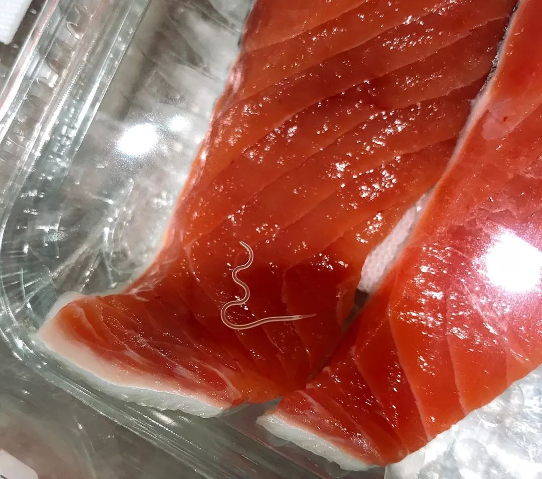 網傳視訊 水產 海鮮多寄生蟲 還能放心吃嗎 夏季飲食如何避免寄生蟲 阮光鋒 微文庫