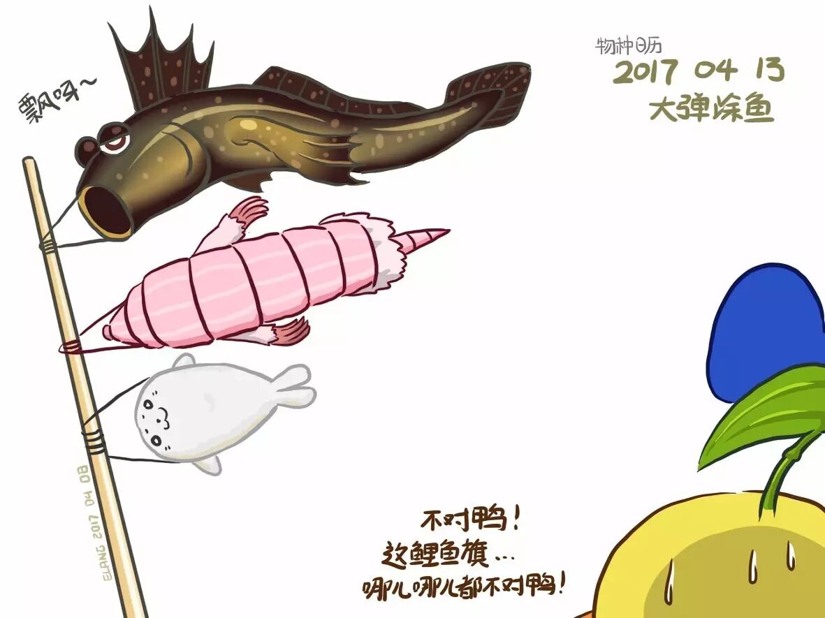 吼啊怒目如蛙的弹涂鱼