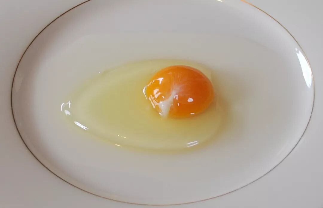 那是蛋中维持蛋黄位置相对稳定的支持结构,鸡蛋储存时间过长时系带