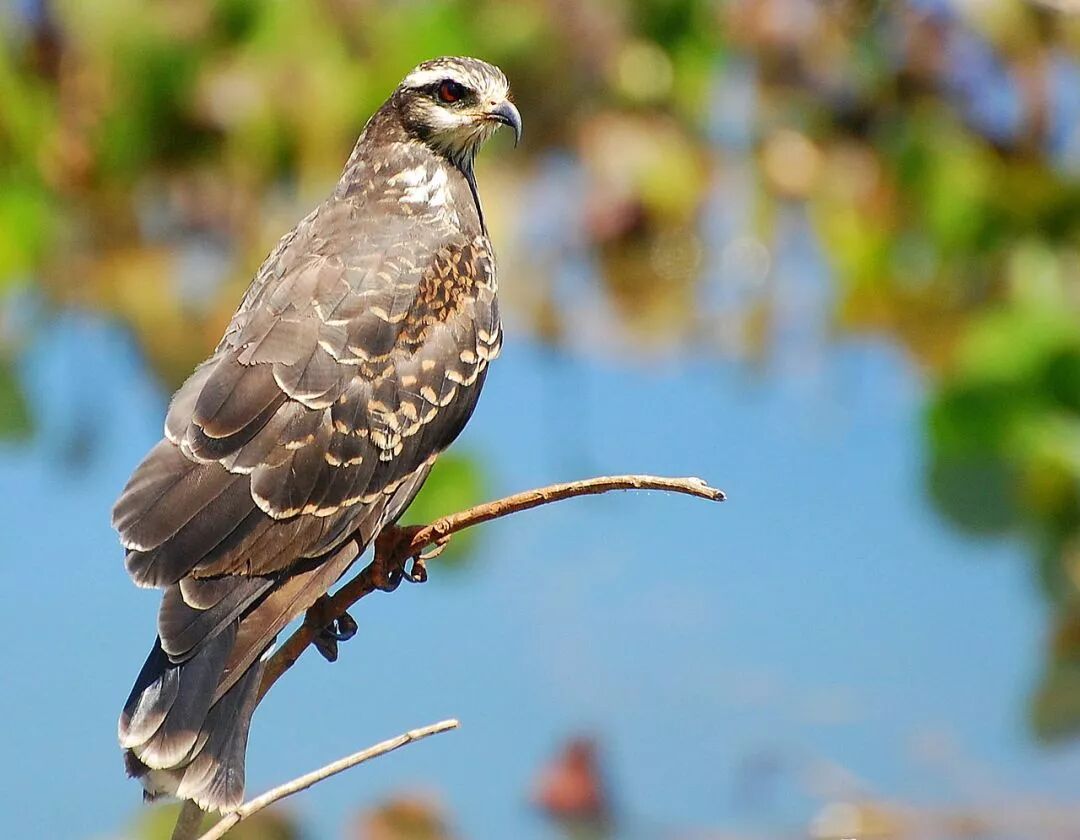 果壳 科技有意思