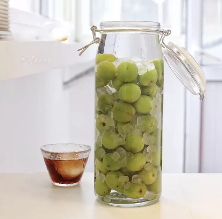 春日賞梅去 你可知賞的是哪種梅 物種日曆 微文庫