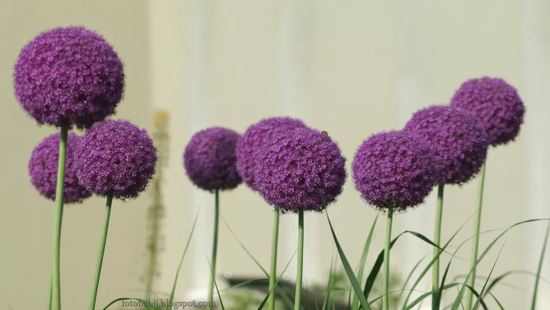 果壳 科技有意思