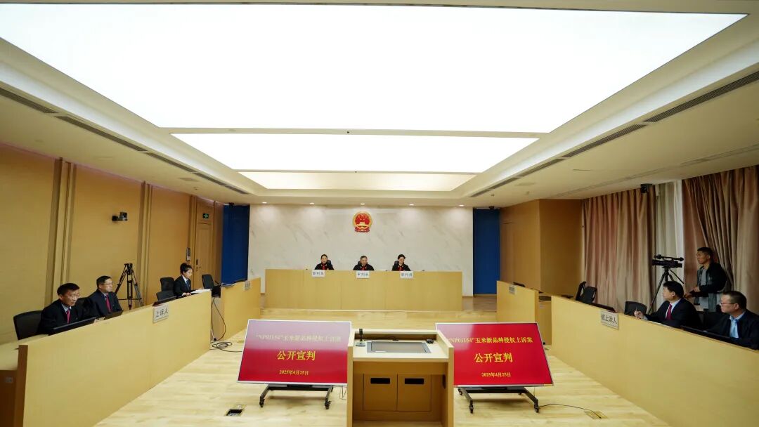 中安德通 | 最高法公开宣判“NP01154”玉米新品种侵权上诉案，惩罚性判赔5300余万元！