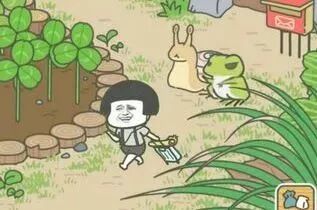 ͼƬ