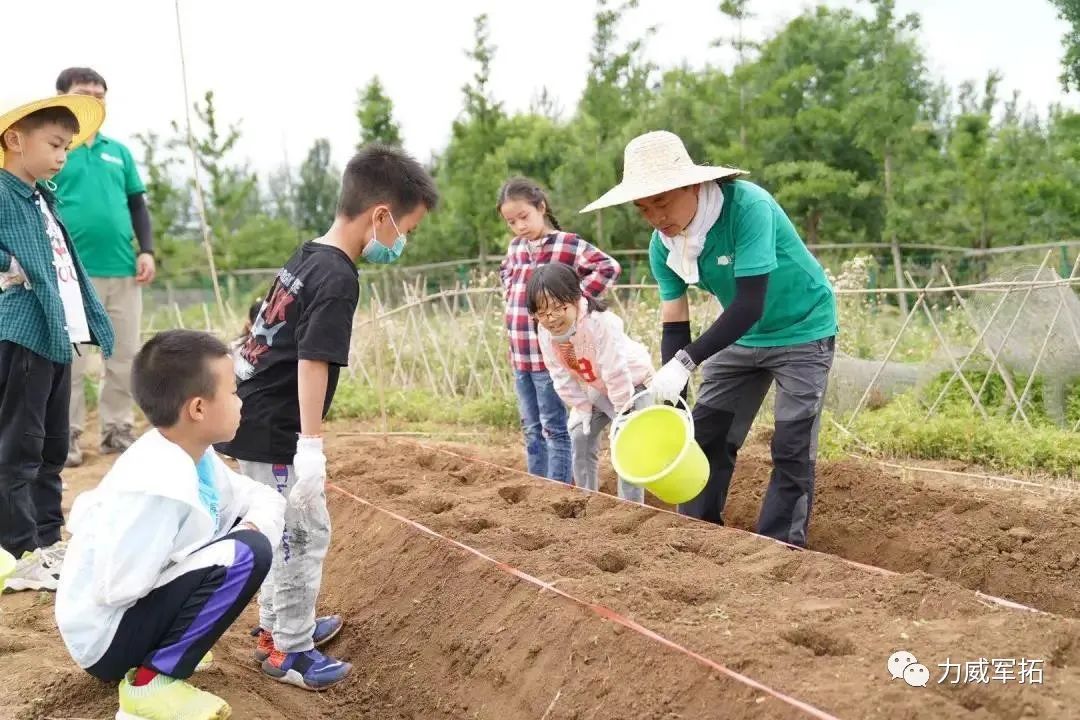 以爱为营降智