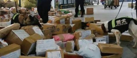 杭州缉毒民警独家讲述：从邮包挖出跨省贩毒大案