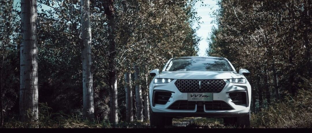 限量300台的VV7 GT巴博斯版 会是谁的菜？