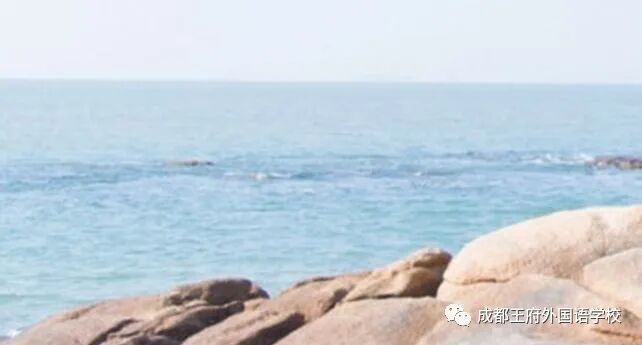 来自成都王府外国语学校的“小小艺术家们”