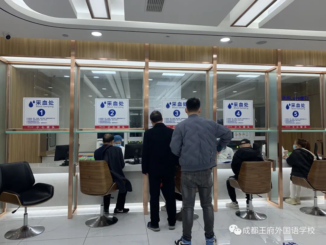 来了！成都王府云上周刊