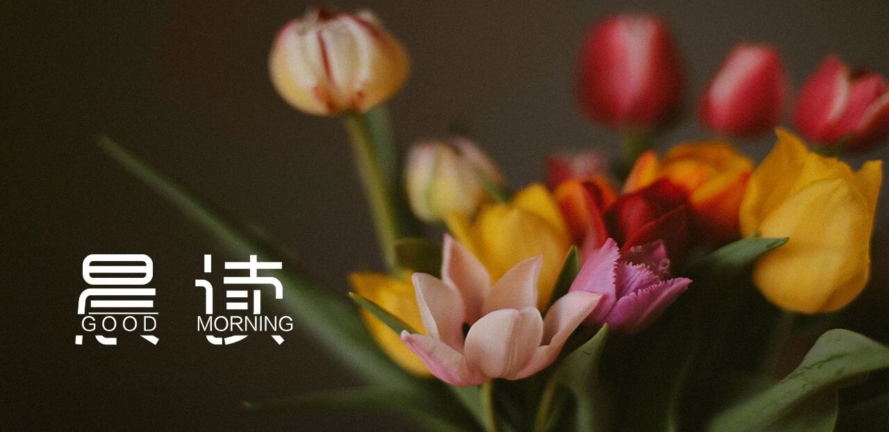 晨读丨持续成长的人都喜欢做这件事