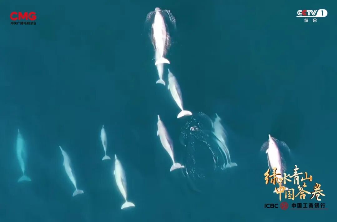 《綠水青山中國答卷》：探訪美麗中國創(chuàng)新實踐