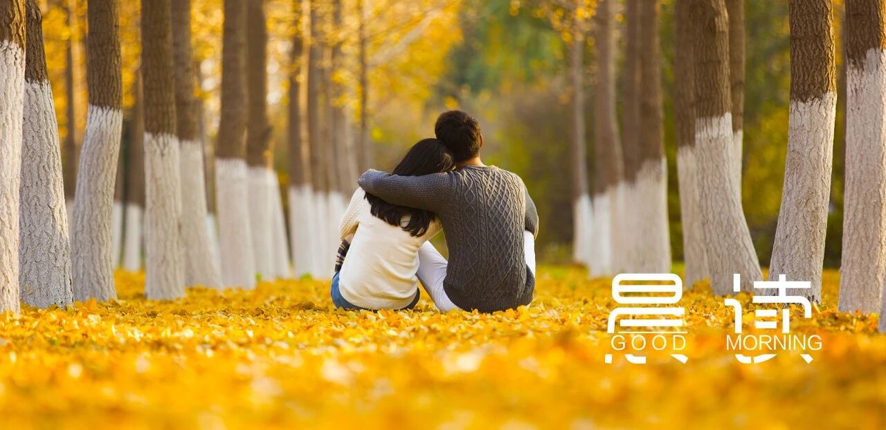 晨读丨最好的感情，是彼此需要