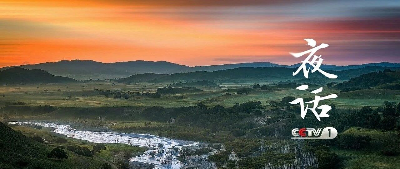 夜话丨塞罕坝散记