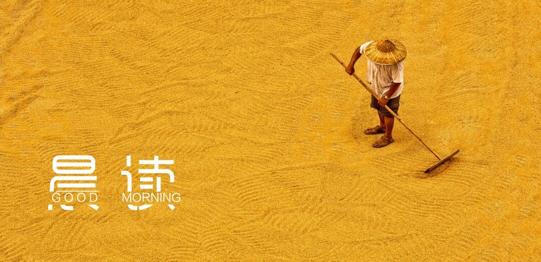 晨读丨你对待工作的态度，暴露了你的层次