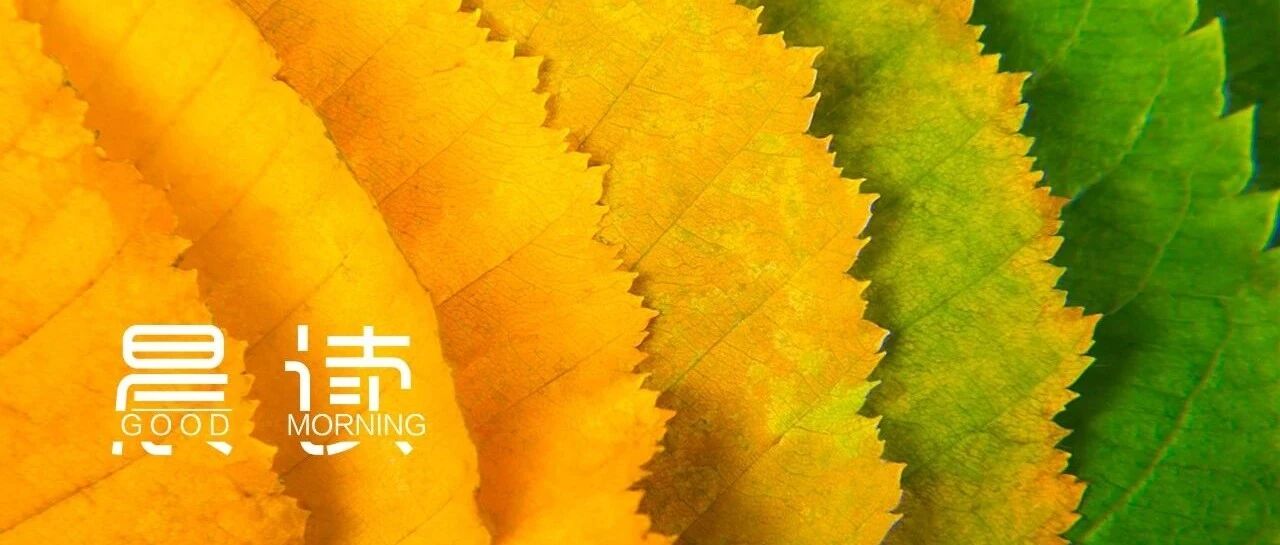 晨读丨一个人走向成熟的四大标志