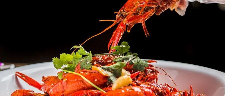 真“香”！德州扒鸡、小龙虾与乡村发展有啥关系？走进这里看一看→