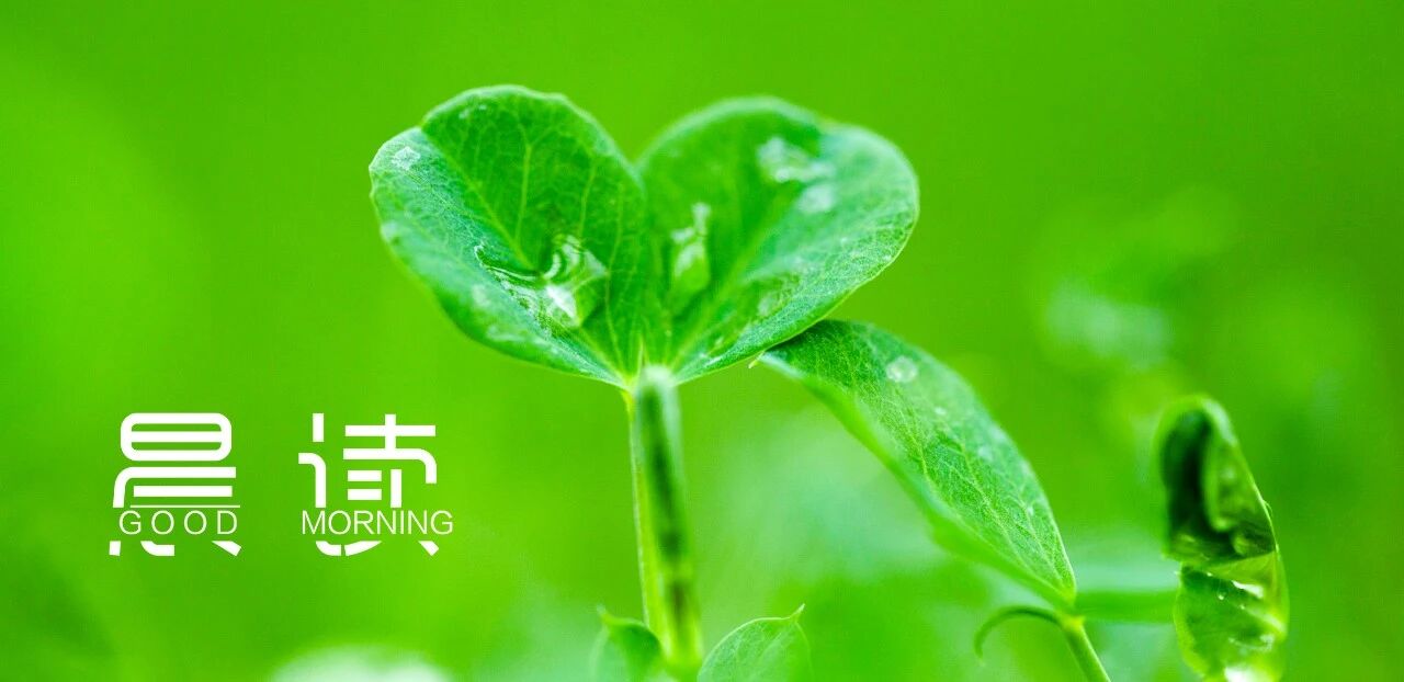 晨读丨人生从来不易，你要默默努力