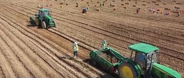 金秋九月丰收季，一起分享这份喜悦！