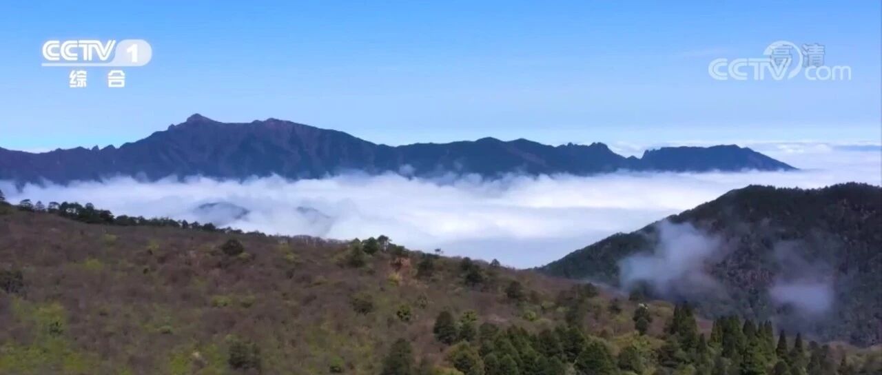 首批国家公园设立满一个月，各项建设工作推进情况如何？