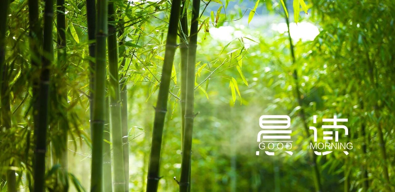 晨读丨有一种人生智慧，叫留白