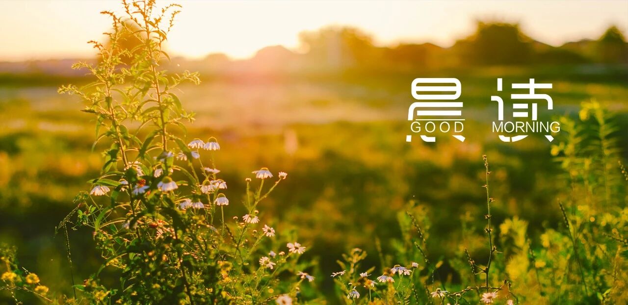 晨读丨安放坏情绪，才有好生活