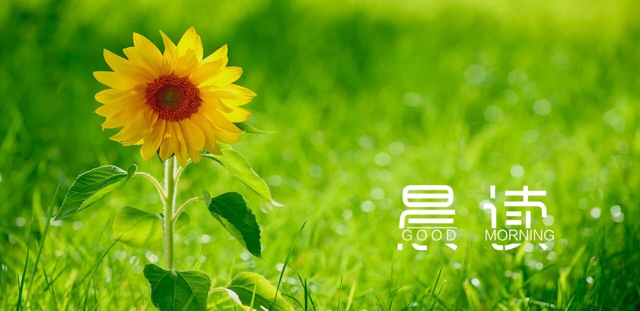 晨读丨选择热爱，日子就会鲜活起来