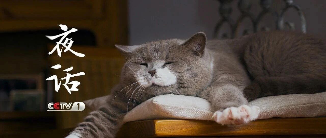 夜话丨杨绛：善解人意的“花花儿”