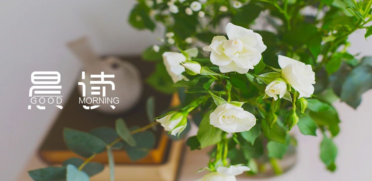 晨读丨让生活变充实的六种方式