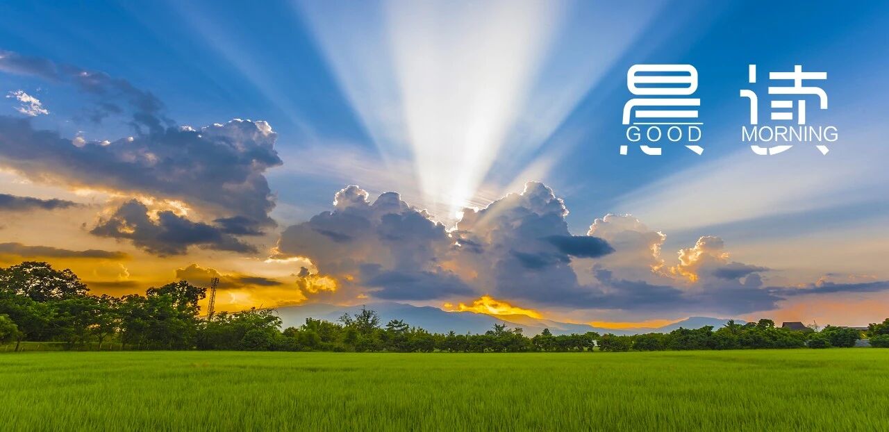 晨读丨最可怕的不是失败，而是被失败打败