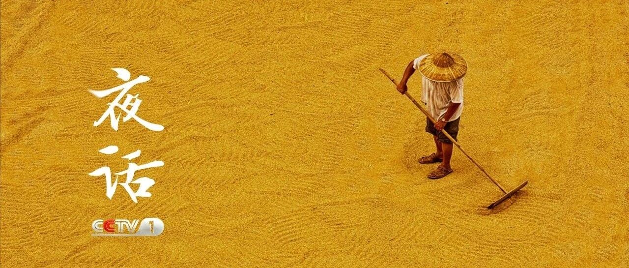 夜话丨秋分：丰收时节，果蔬秋浓