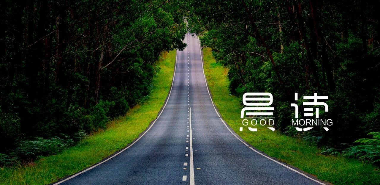 晨读丨我们需要跌倒多少次， 才能找到自己