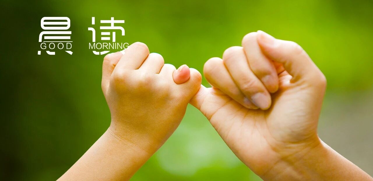 晨读丨真心难得，不要欺骗信任你的人