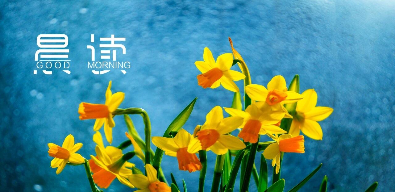 晨读丨你自律的程度，决定了人生的高度