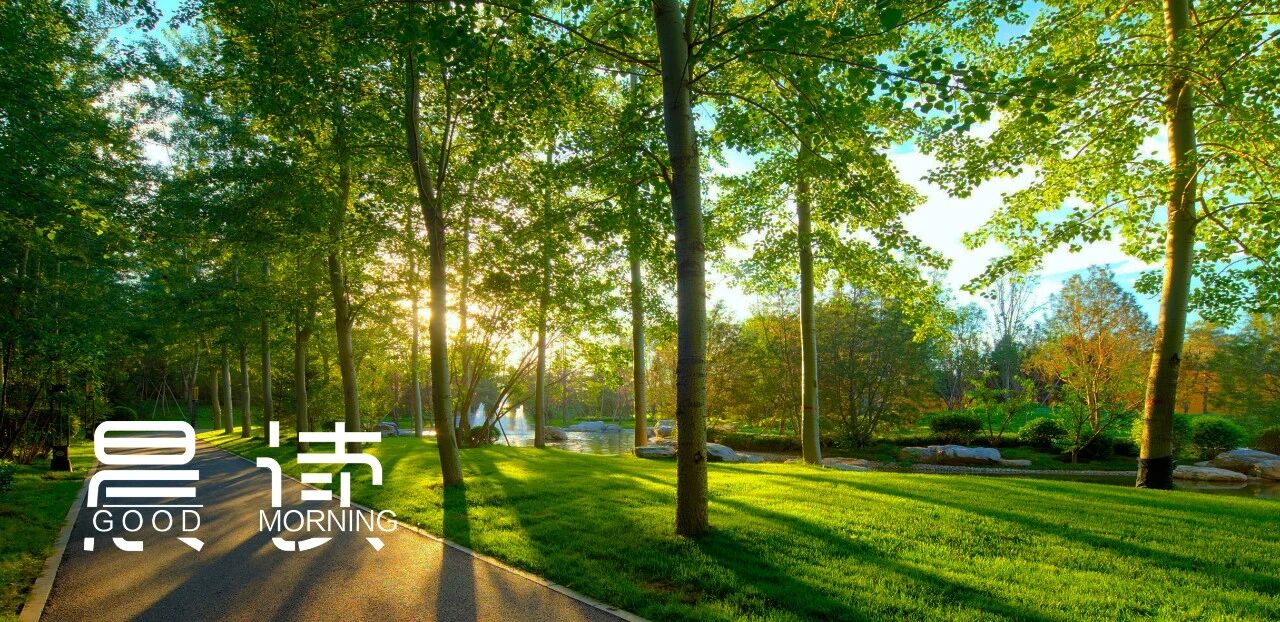 晨读丨走好脚下路，做好手边事