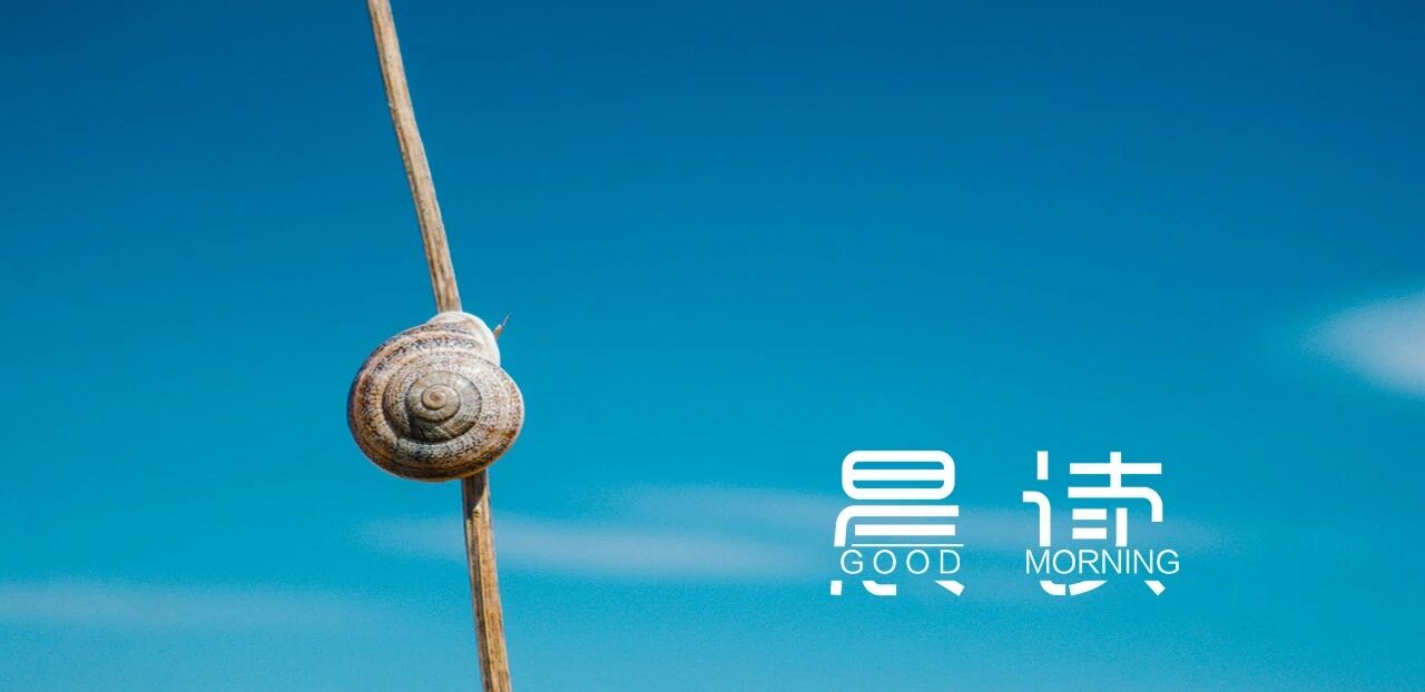 晨读丨量化努力，可以让你变得更美好