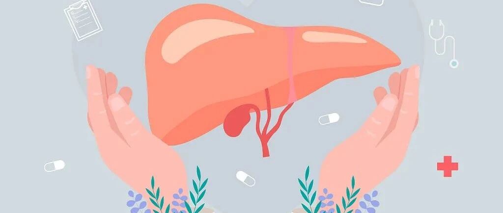 如何保护肝脏健康？这些护肝小知识，您应该了解→